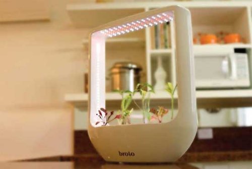 Grow plants with no soil