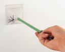 Bug Trapper: The clean way to get rid of bugs
