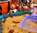 Kitty Litter Geek cake