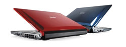 MSI EX300