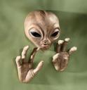 Alien Wall Plaque is scary decor