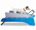Canine treadmill takes the dog for a walk while you play video games