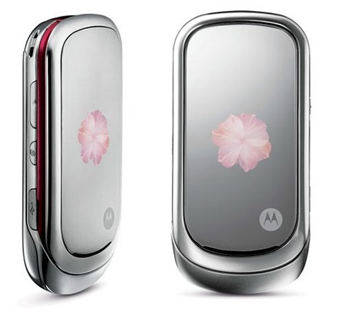 Motorola PEBL Rose Bloom for Valentine’s Day