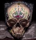 $5,000 Pinhole camera made from human skull