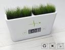 Timeless Garden lets you grow grass, tell time