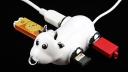 Gadget cruelty: Put the USB Cow out of its misery