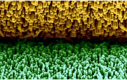 Piezoelectric Nanowires