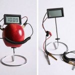 Fruit powered clock Fruit powered clock