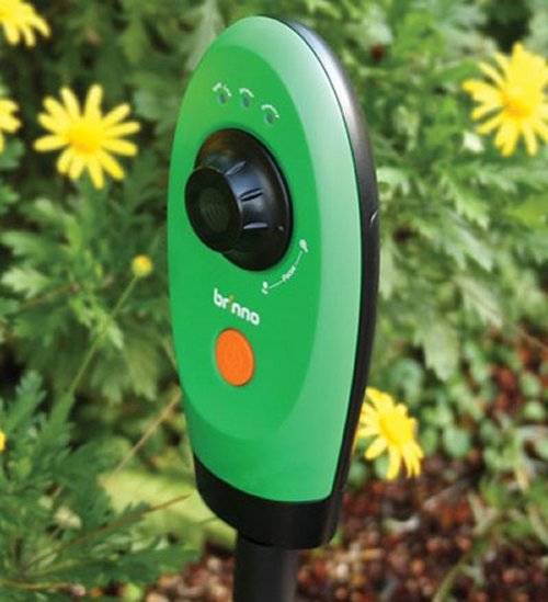 The Timelapse Garden video camera