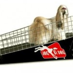 Jog A Dog: Rid your pooch of that paunch