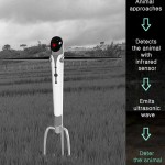 Digital Scarecrows aren't very scary
