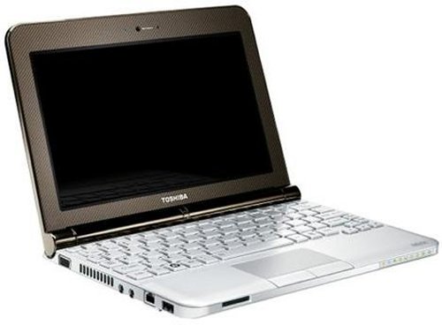 Toshiba Mini NB200 Netbook with 9-Cell battery Toshiba Mini NB200 Netbook with 9-Cell battery
