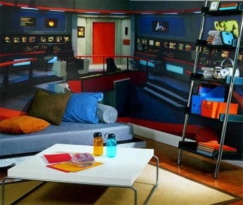 Star Trek wall mural