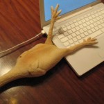 USB rubber chicken drive = USB comedy USB rubber chicken drive = USB comedy
