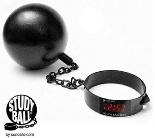 Study Ball will have your kid getting good grades in no time 