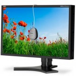 NEC unveils new 24-inch LCDs for U.S. market