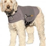 K-9 Calming Vest