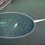 Brick Pic: Loch Ness Monster spotted on Google Earth Brick Pic: Loch Ness Monster spotted on Google Earth