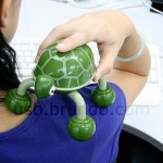 USB Tortoise Massager USB Tortoise Massager