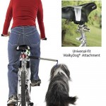 Walky Dog: You ride, the dog walks