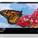ASUS intros Designo MS series LCD monitors