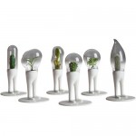 Domsai Terrariums make plants look like astronauts