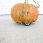 Scare Trick-or-Treaters with a Rovin' Pumpkin this Halloween