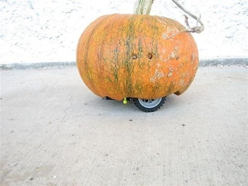Scare Trick-or-Treaters with a Rovin' Pumpkin this Halloween