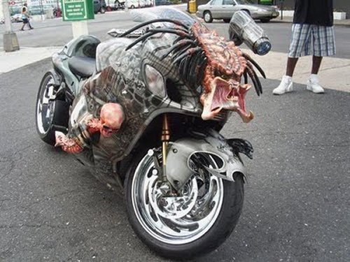 predator1.jpg