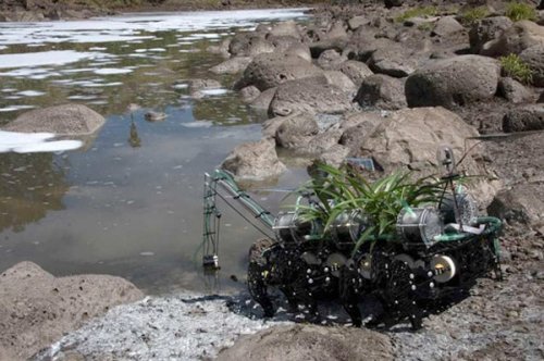 Roboplant, the walking robot plant team