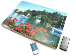 Fake painting blocks cellphone signals
