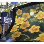World’s Largest Curved Plasma Display