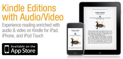 Amazon Kindle Editions with video and audio