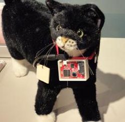 Sony makes Tweeting device for cats