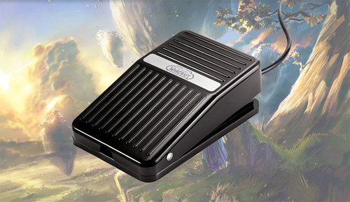 World of Warcraft foot pedal
