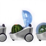 Marugoto Tamachan portable watermelon cooler
