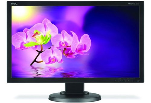 NEC Eco-Friendly E231W LED Monitor