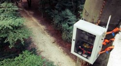 Tree talks to the world using Facebook and Twitter