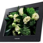 Toshiba introduces two new 3D TVs in Japan, no glasses required