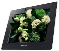 Toshiba introduces two new 3D TVs in Japan, no glasses required