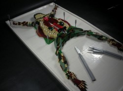 Lego Dissected Frog is the grossed Lego project ever