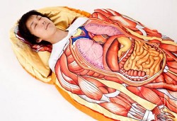 Anatomy model sleeping bag