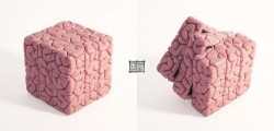 Rubik’s Brain Cube