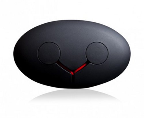 Moshi Moonrock Black Earbuds