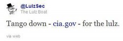 LulzSec takes down the CIA website