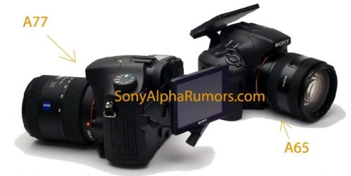Sony Alpha A65, A77 spotted